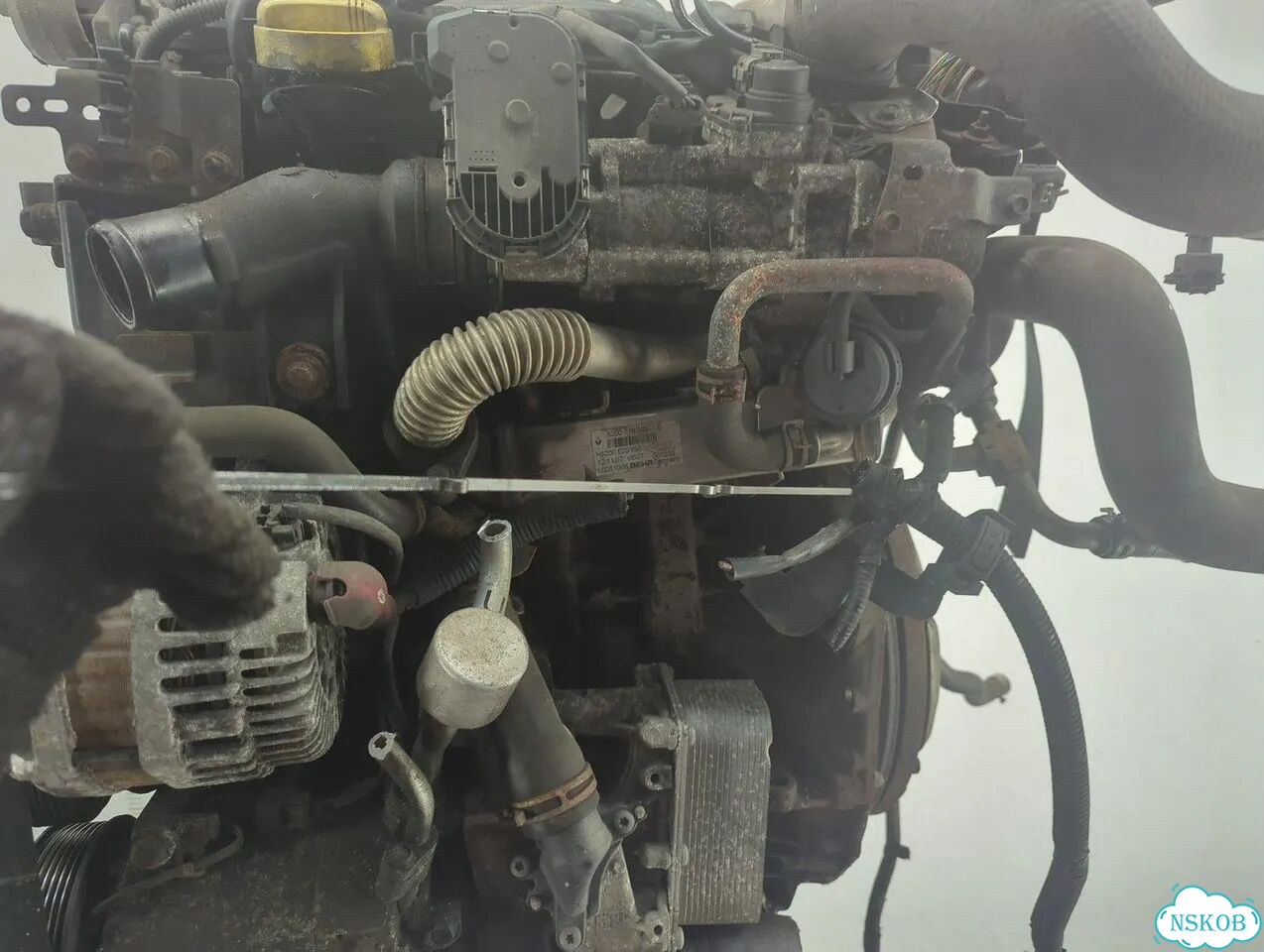 Двигатель Nissan Qashqai M9R фото 9