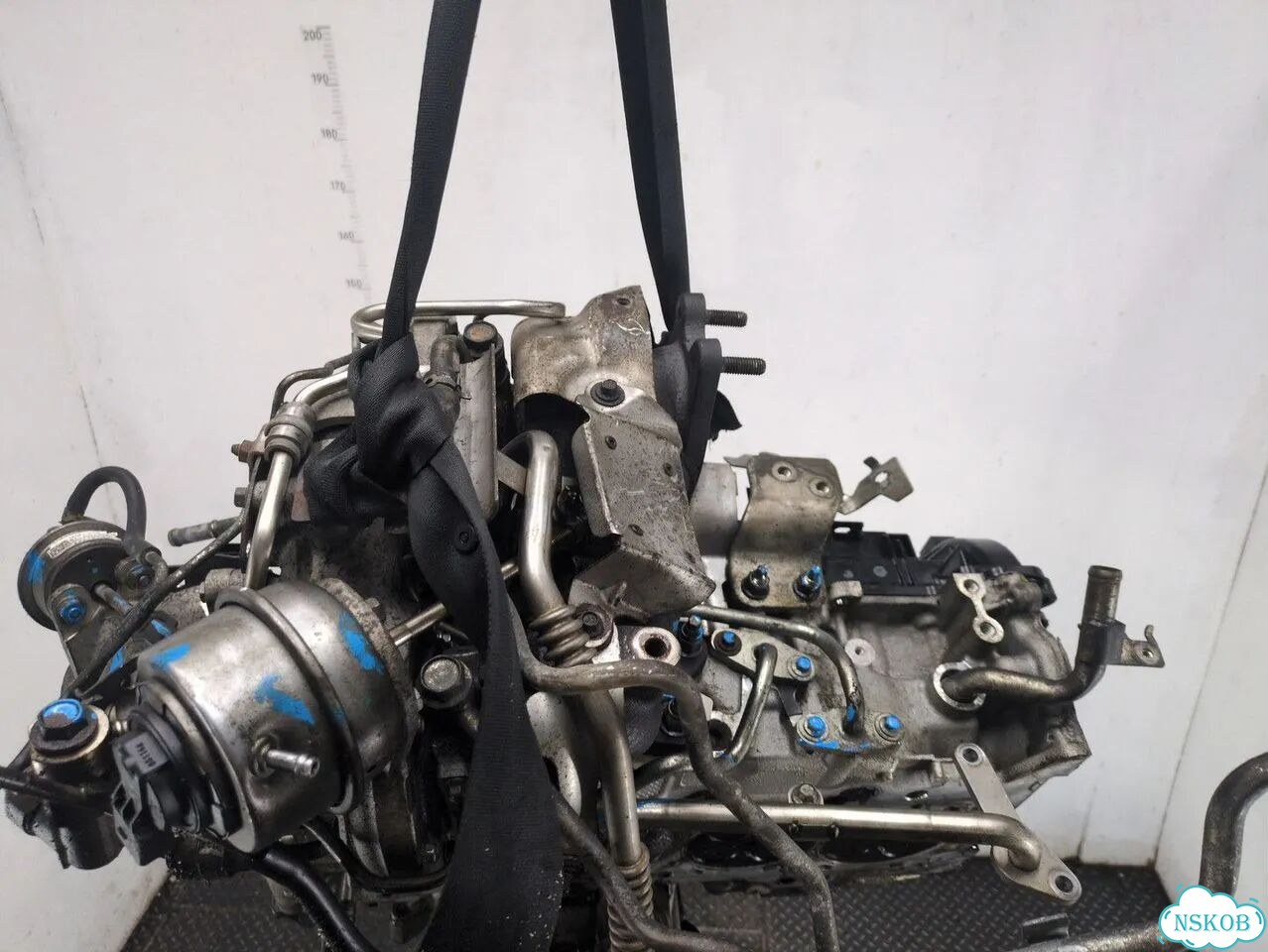 Головка блока (ГБЦ) Mazda 6 (GJ) SH фото 4