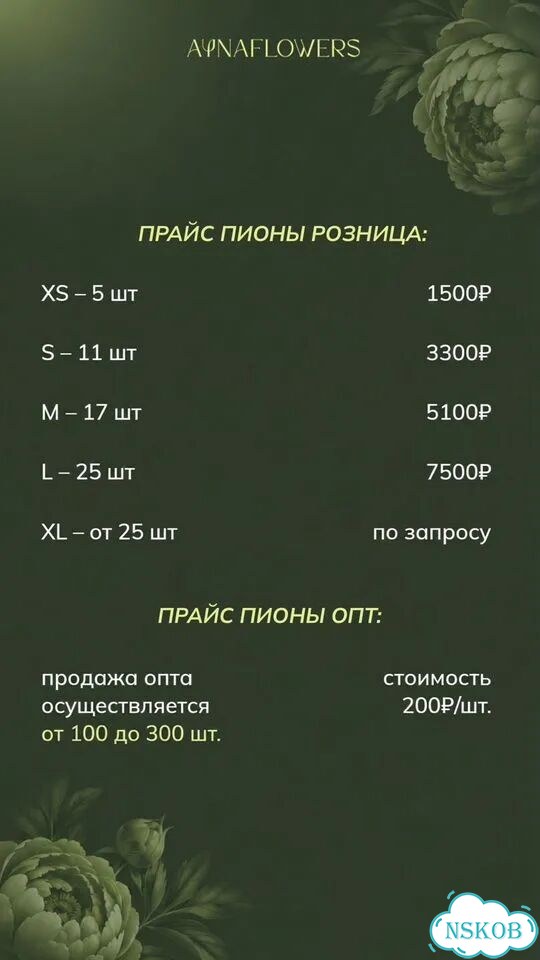 Пионы фото 2