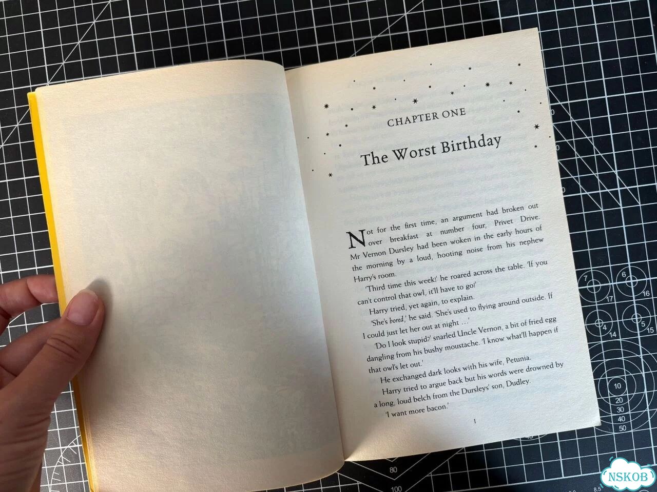 Harry Potter юбилейное издание на английском фото 8