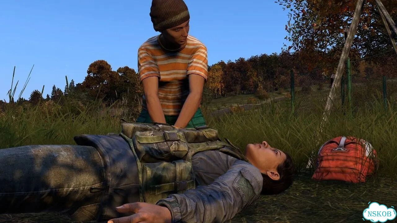 DayZ + Дополнения PS4/PS5 На Русском фото 10