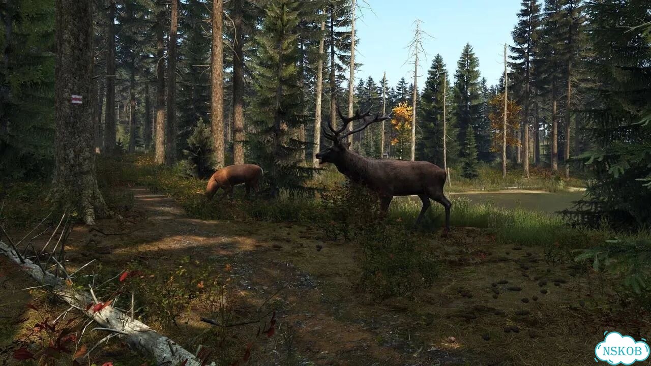 DayZ + Дополнения PS4/PS5 На Русском фото 5
