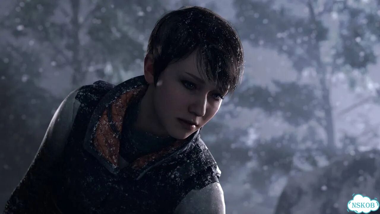 Detroit Become Human Deluxe PS4/PS5 На Русском фото 4