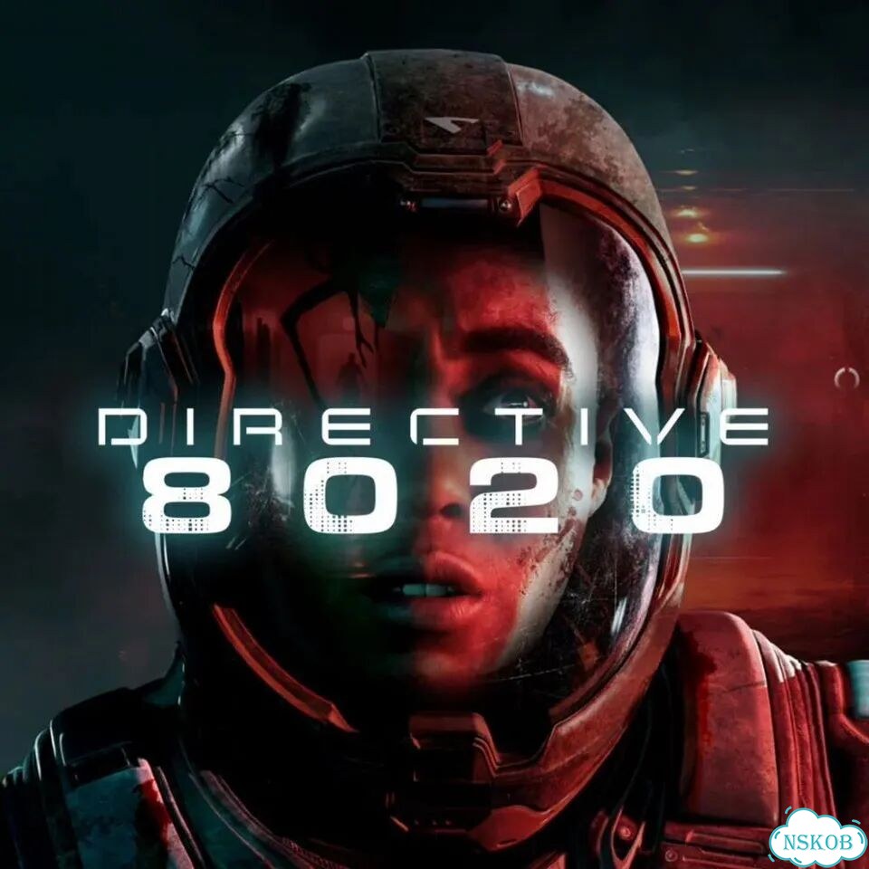 Directive 8020 PS5 На Русском фото 1
