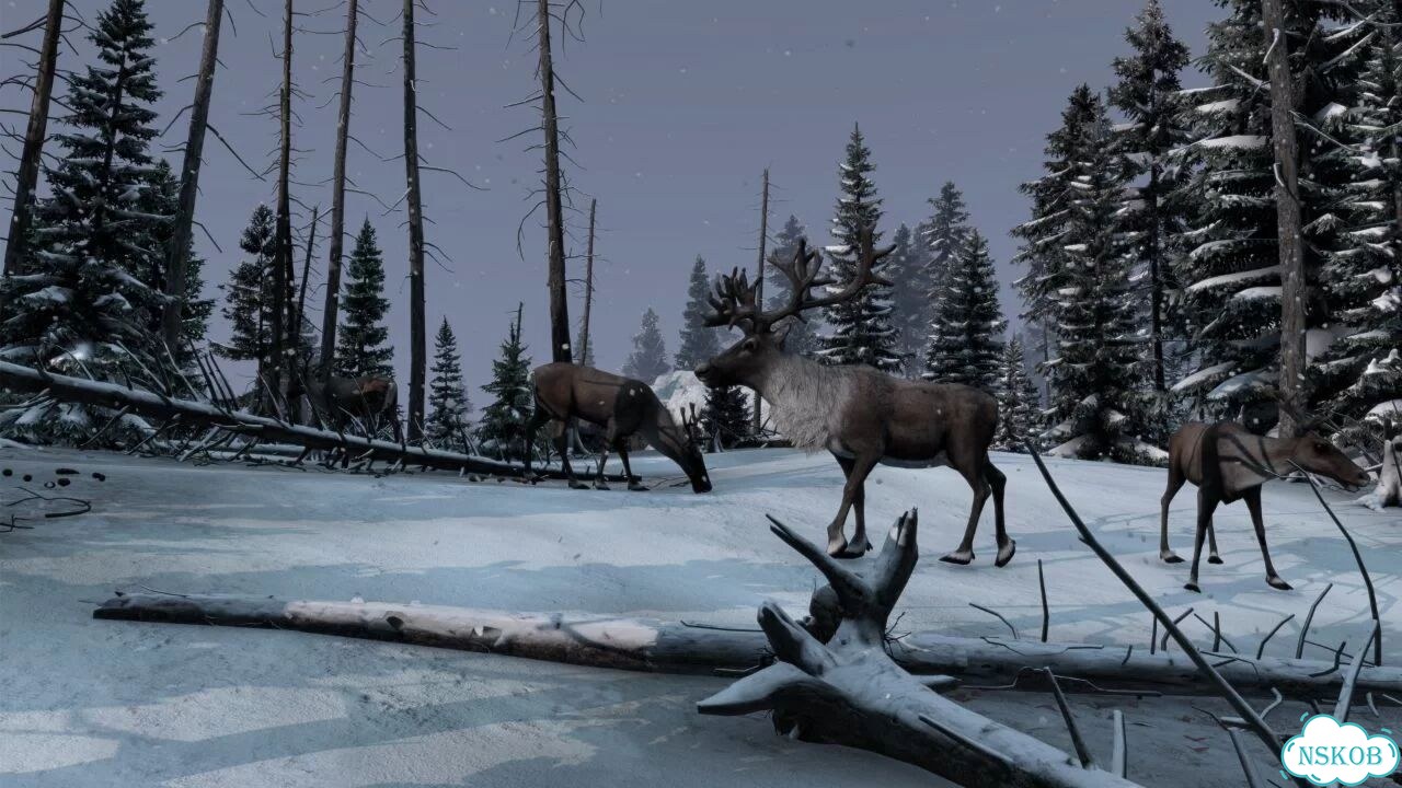 DayZ Cool Edition DLS PS4/PS5 На Русском фото 5