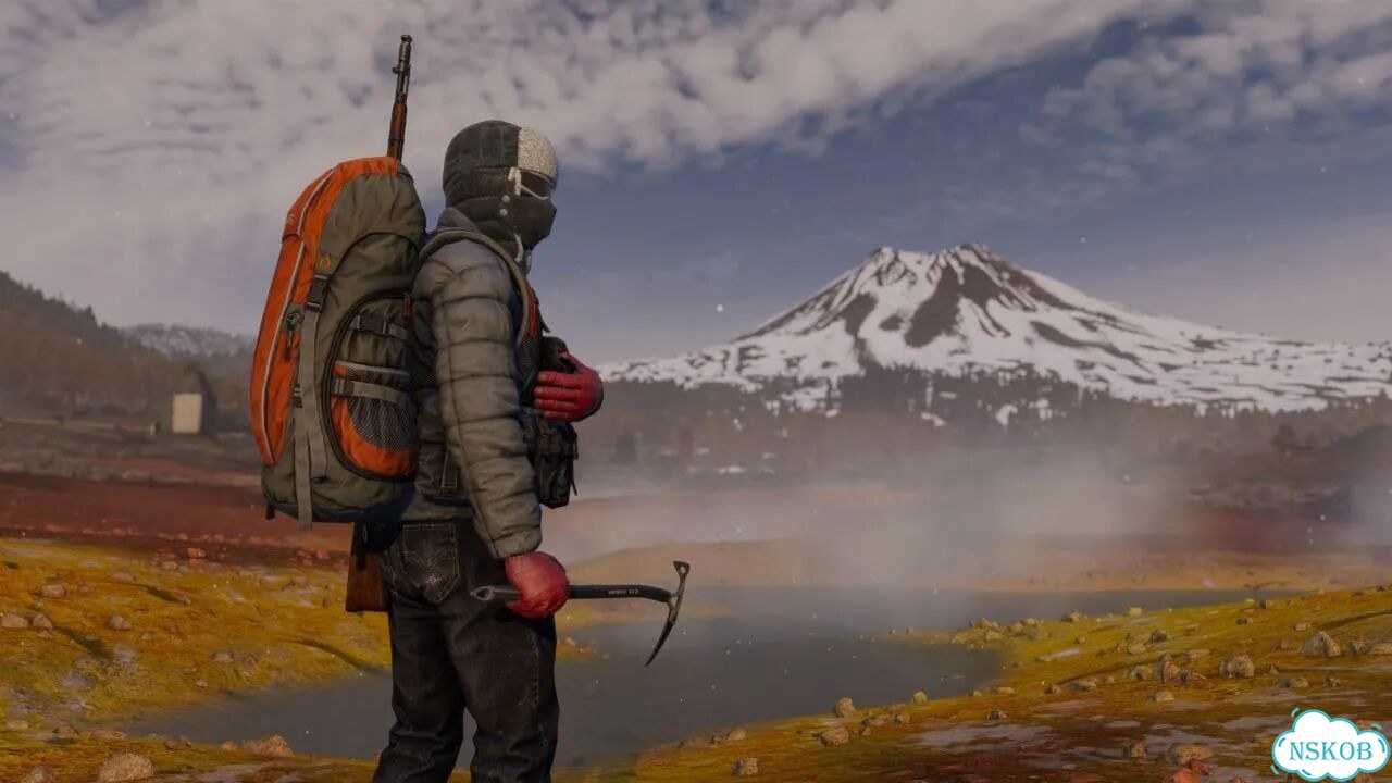 DayZ Cool Edition DLS PS4/PS5 На Русском фото 6