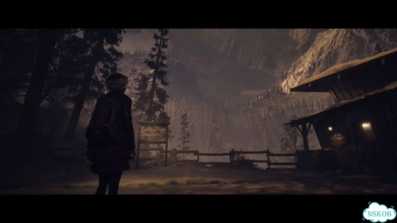 Until Dawn / Дожить До Рассвета PS4/PS5 На Русском фото 5
