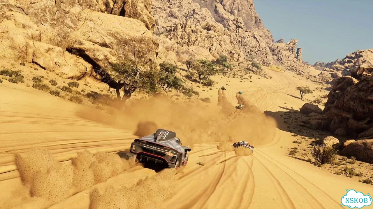 Dakar Desert Rally PS4/PS5 фото 8