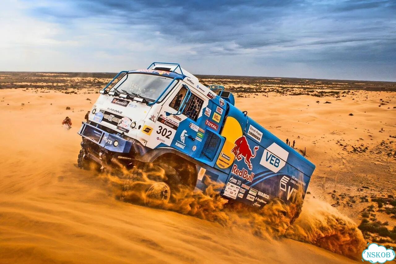Dakar Desert Rally PS4/PS5 фото 9
