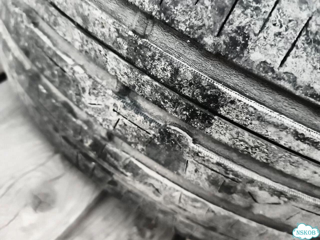 Nitto NT830 205/55 R16 фото 7
