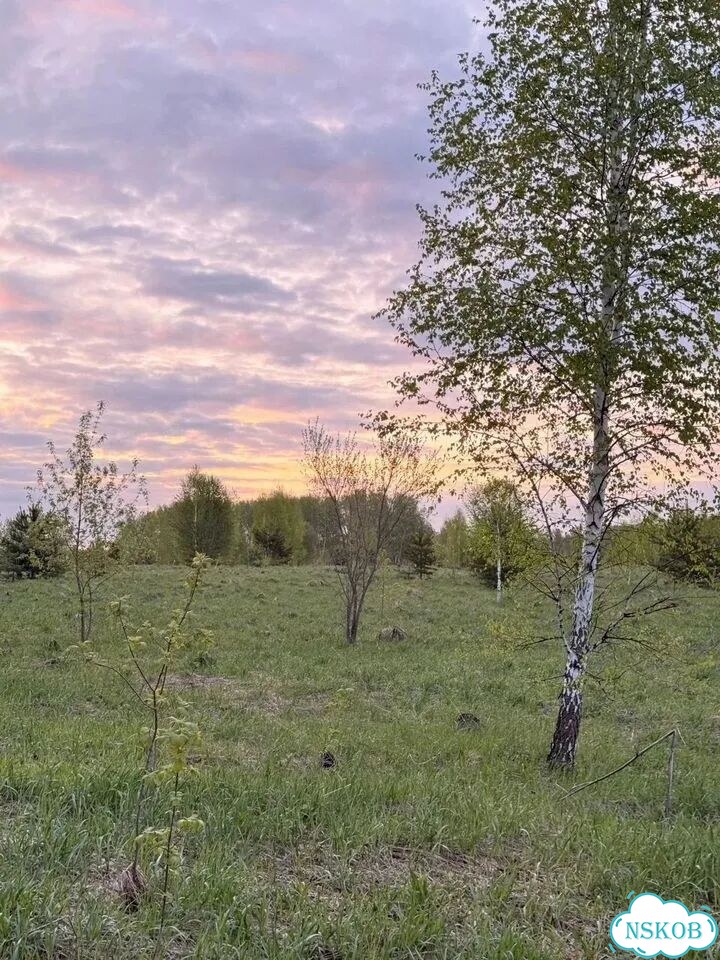 Участок 7 сот. (СНТ, ДНП) фото 3