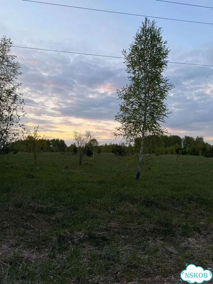 Участок 7 сот. (СНТ, ДНП) фото 4