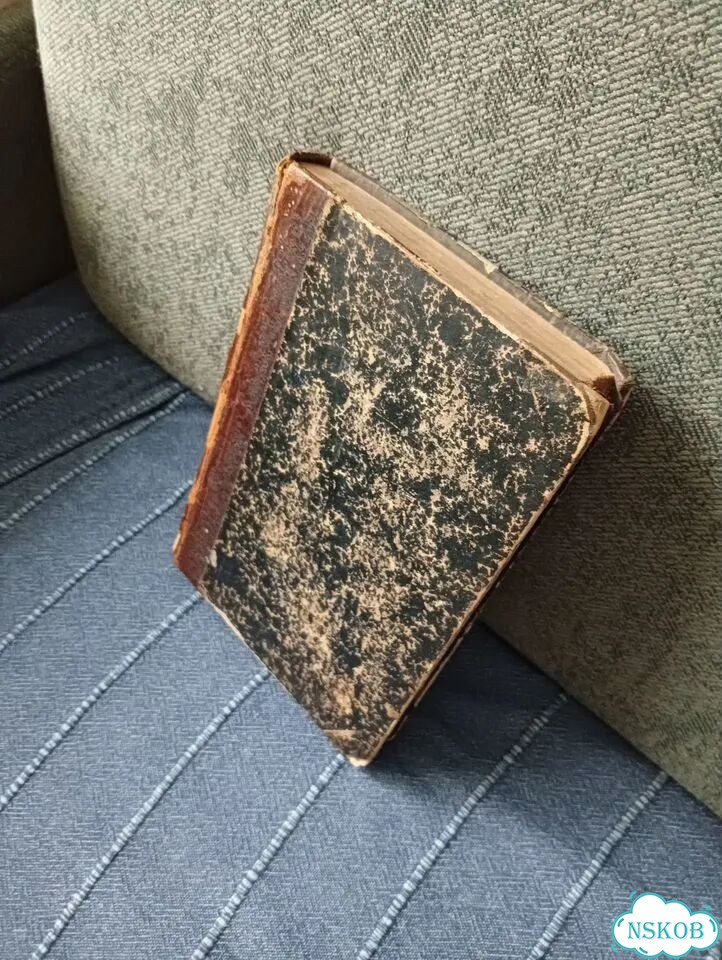 Книга Достоевский Дневники за 1876 год фото 1