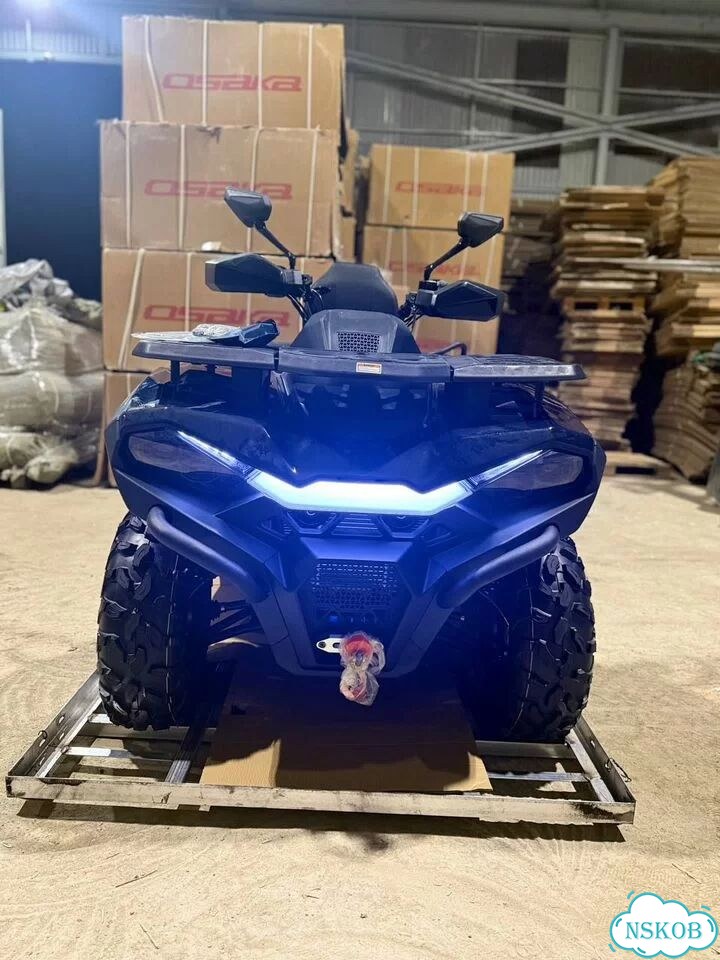 Квадроцикл Hisun Guardian 550L фото 3