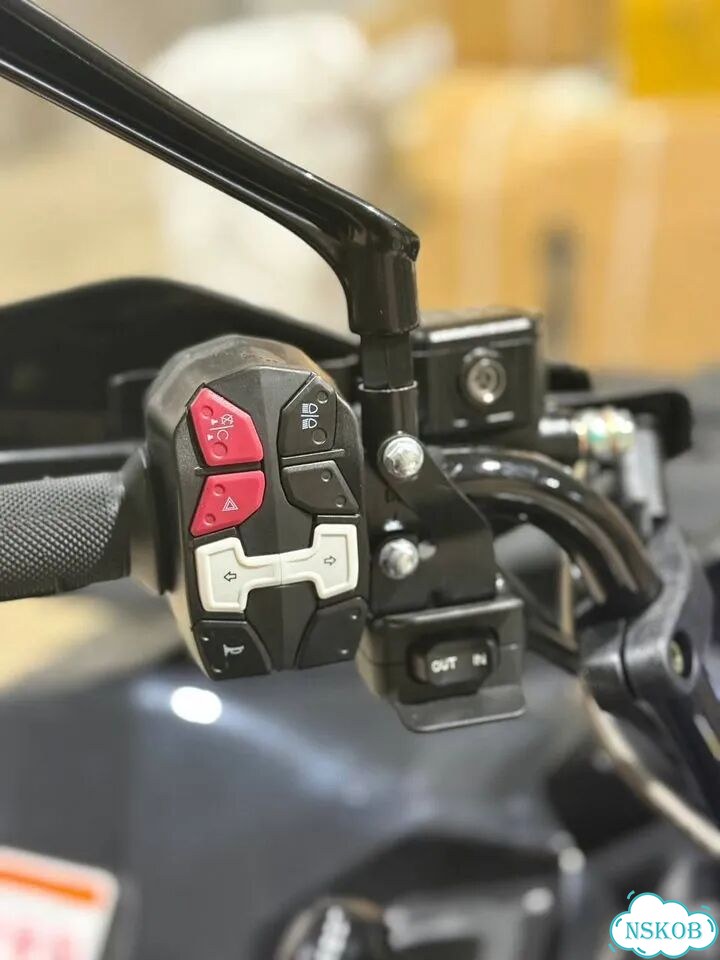Квадроцикл Hisun Guardian 550L фото 9