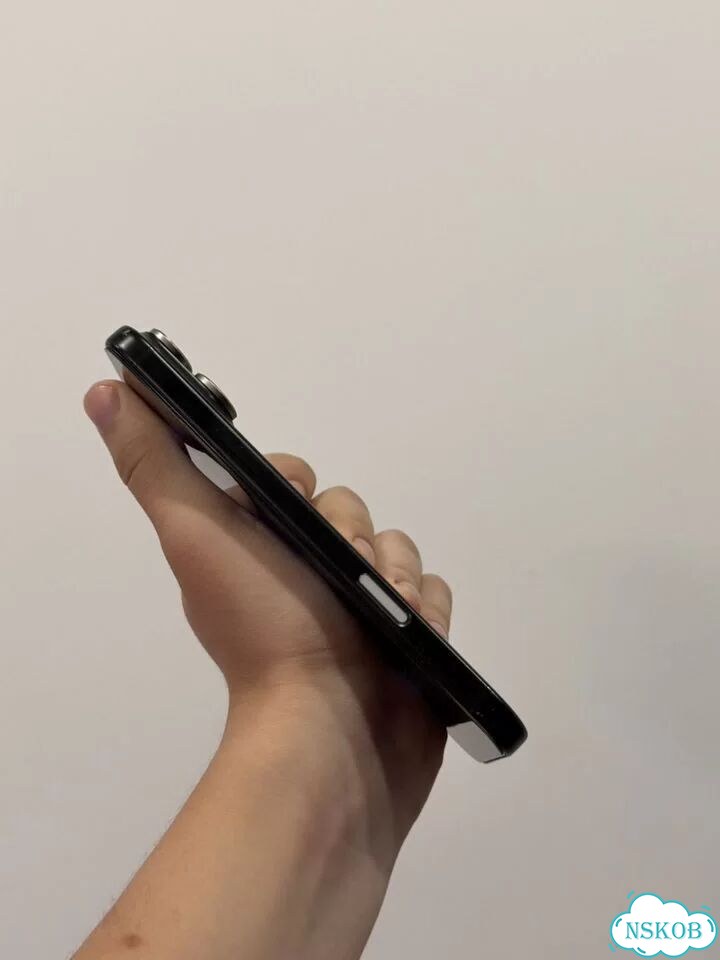 iPhone 17 Pro Max, 256 ГБ, SIM + eSIM фото 3