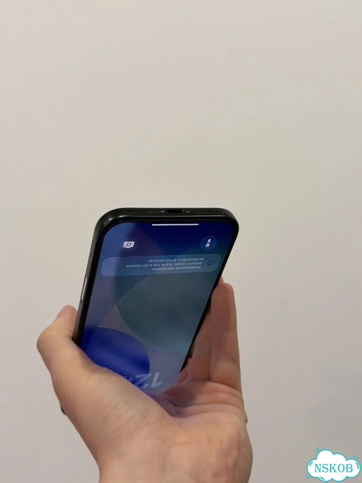 iPhone 17 Pro Max, 256 ГБ, SIM + eSIM фото 4
