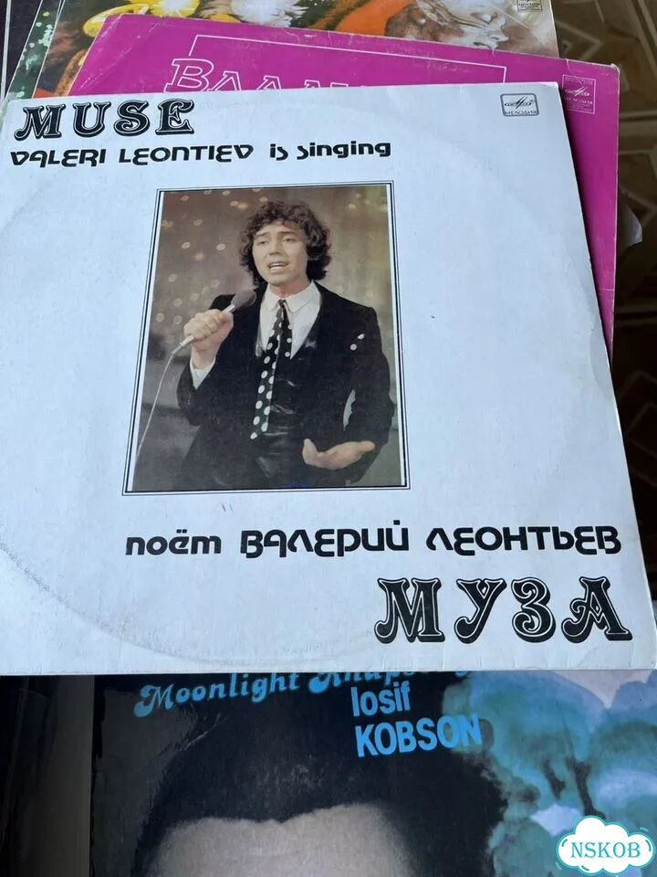 Грампластинка виниловая фото 10