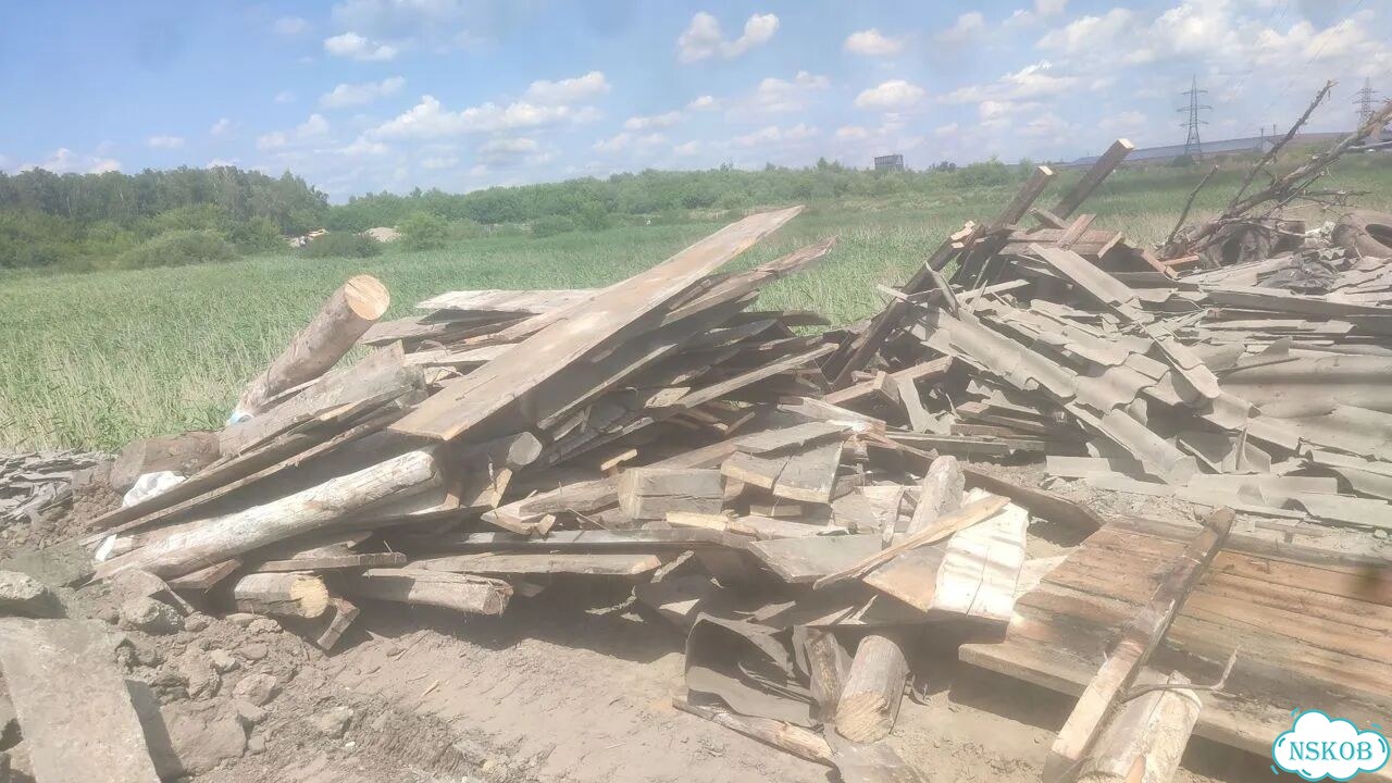 Дрова сухие фото 1