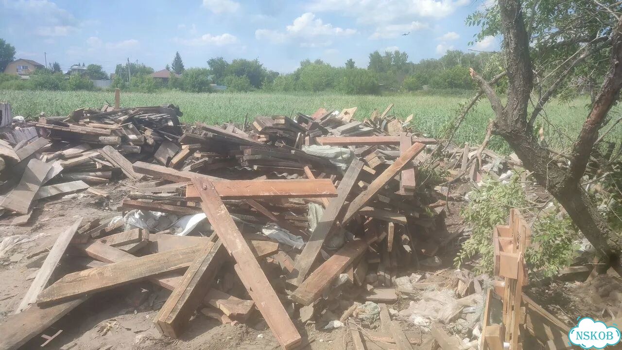 Дрова сухие фото 3