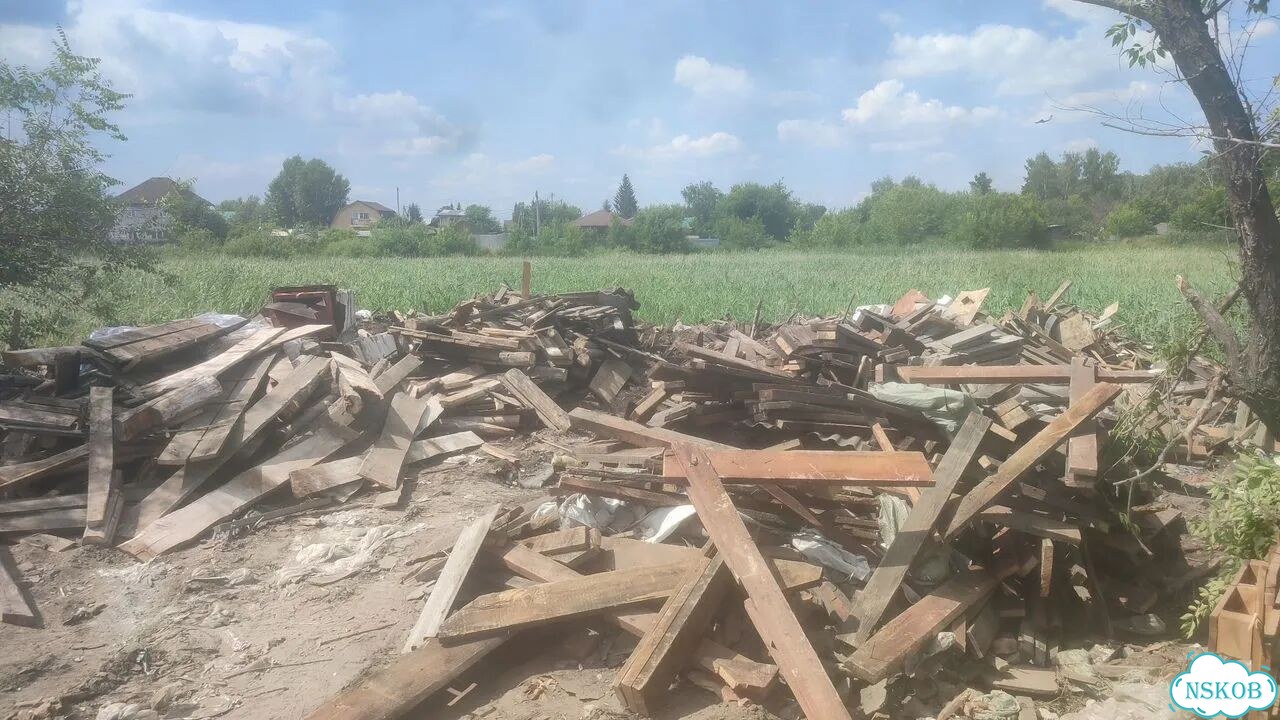 Дрова сухие фото 4