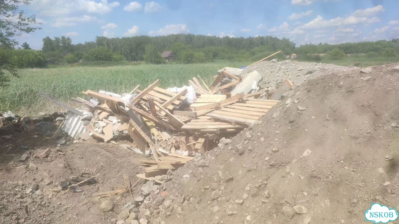 Дрова сухие фото 5