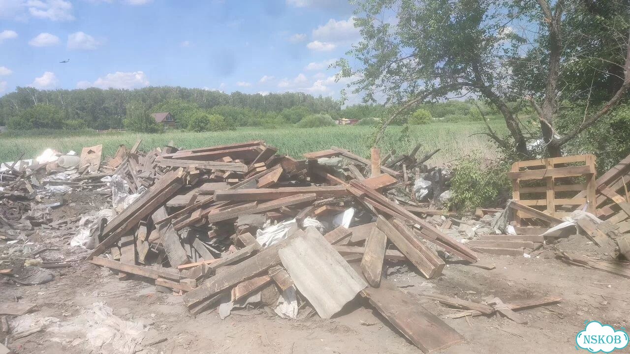 Дрова сухие фото 6
