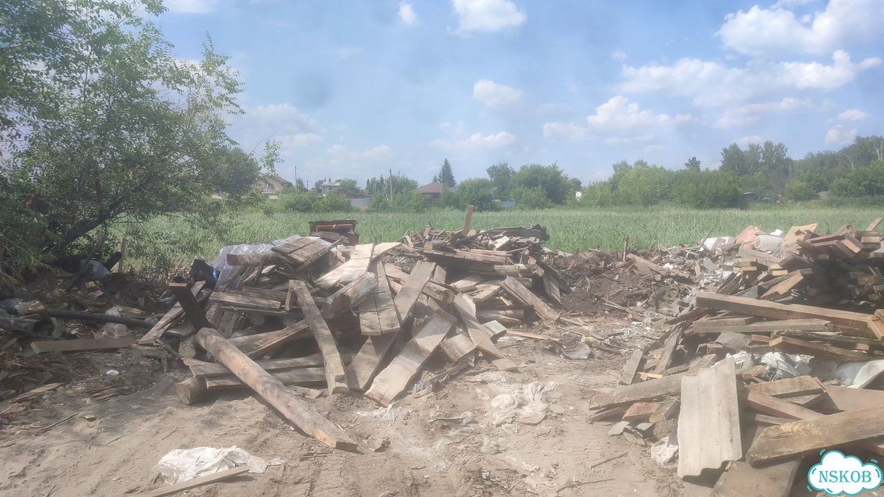 Дрова сухие фото 7