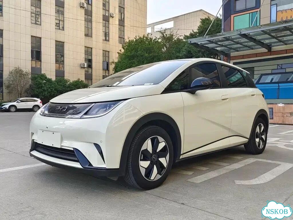 BYD Dolphin AT, 2024, 29 000 км фото 1