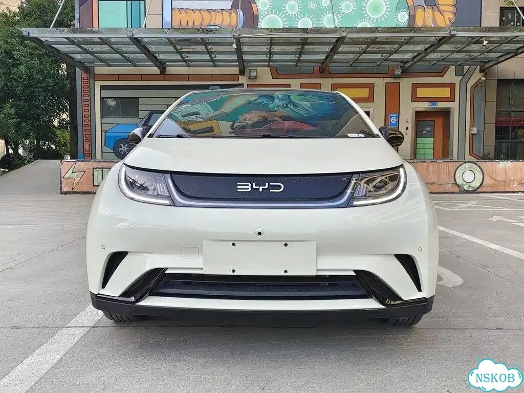 BYD Dolphin AT, 2024, 29 000 км фото 2