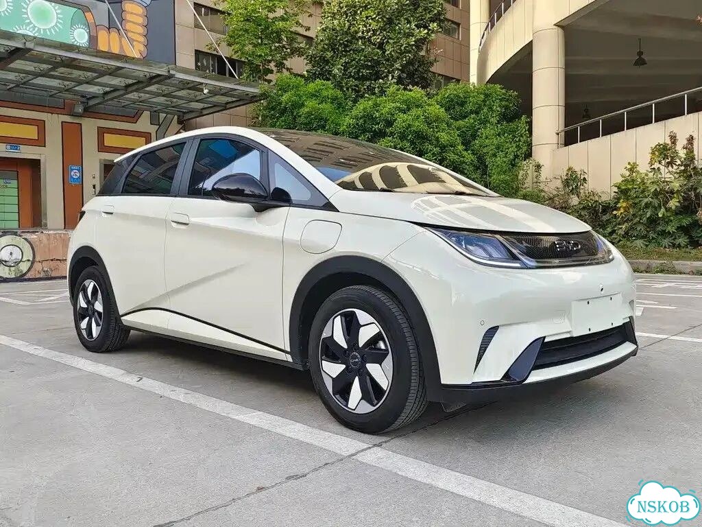 BYD Dolphin AT, 2024, 29 000 км фото 3