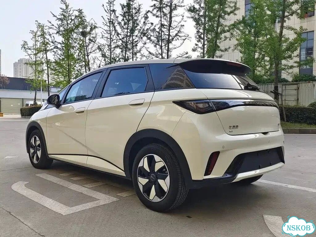 BYD Dolphin AT, 2024, 29 000 км фото 7
