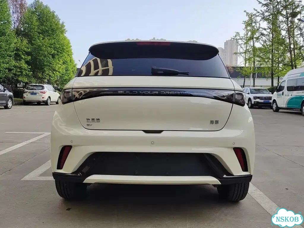BYD Dolphin AT, 2024, 29 000 км фото 8
