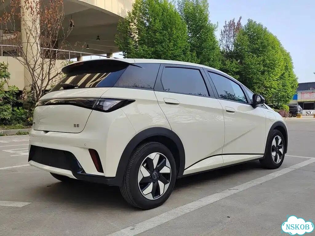 BYD Dolphin AT, 2024, 29 000 км фото 9
