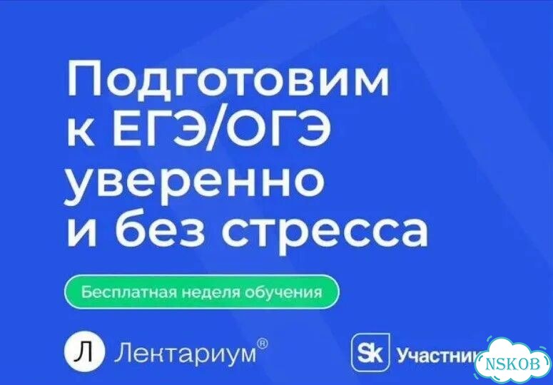 Репетитор по русскому языку и литературе фото 4
