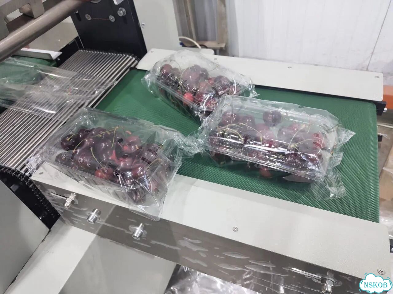 Линия упаковки продукции во флоу-пак Роспак алд-600D / Решения для всех отраслей фото 11