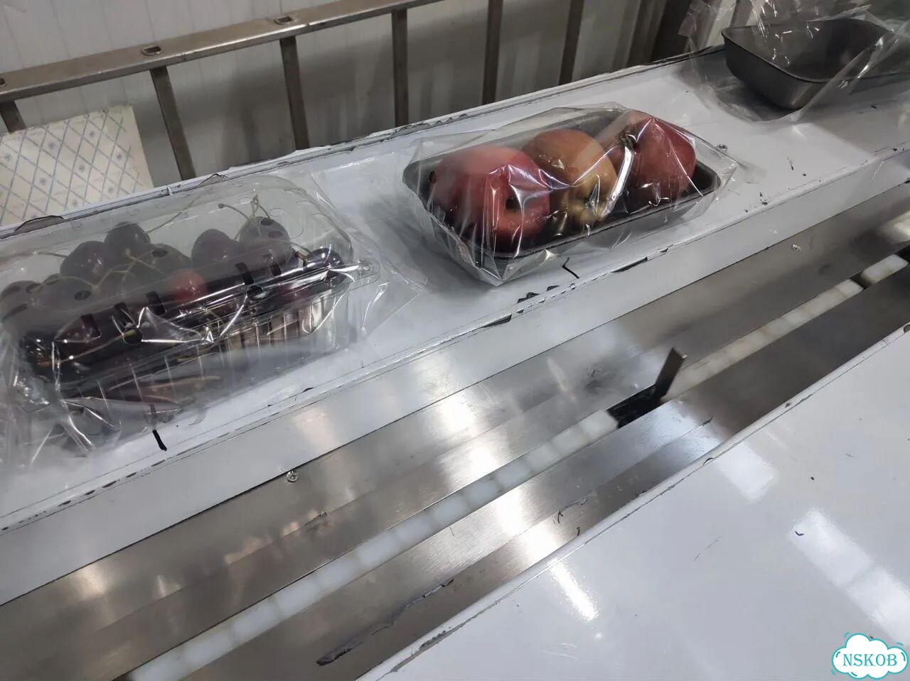 Линия упаковки продукции во флоу-пак Роспак алд-600D / Решения для всех отраслей фото 9