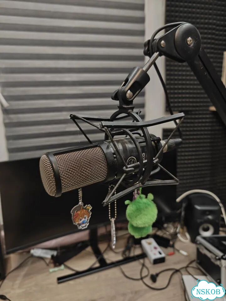 Конденсаторный микрофон AKG P220 фото 1