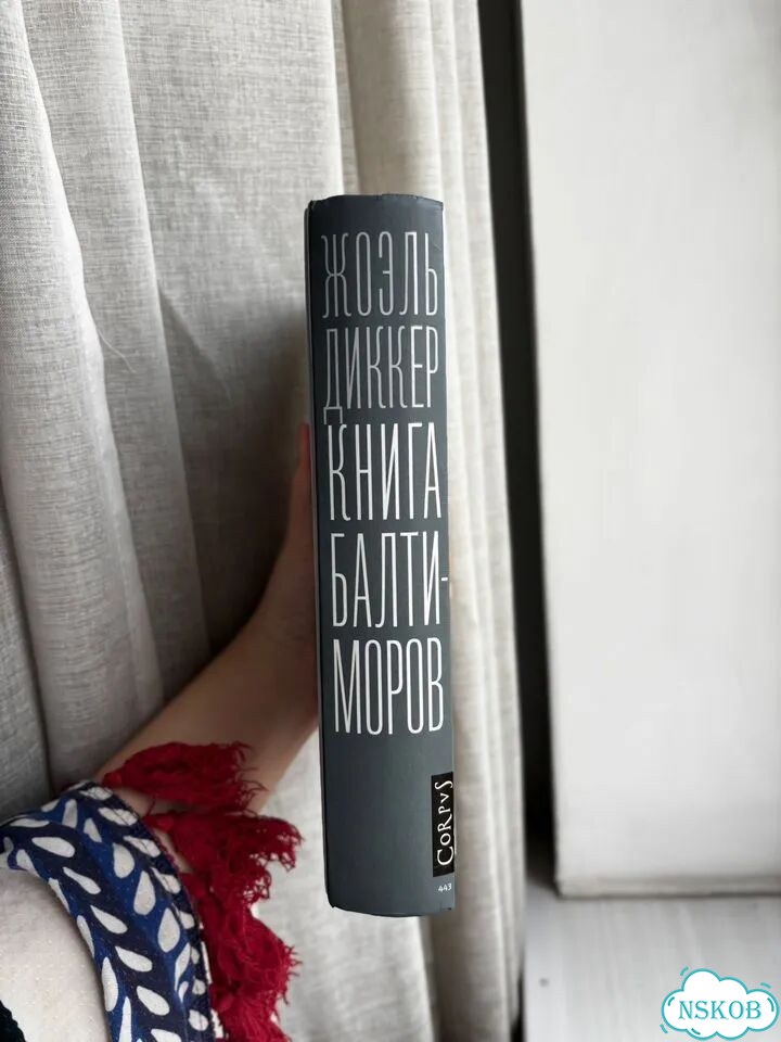 Книга балтиморов фото 2