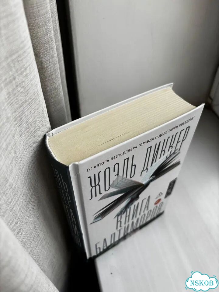 Книга балтиморов фото 3