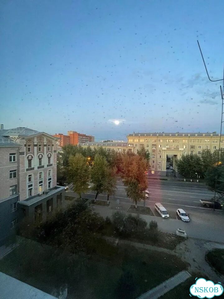 Квартира-студия, 18 м², 6/6 эт. фото 12