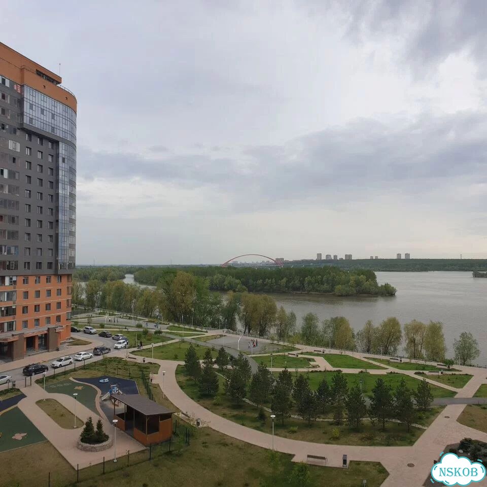 1-к. квартира, 42,4 м², 6/20 эт. фото 15