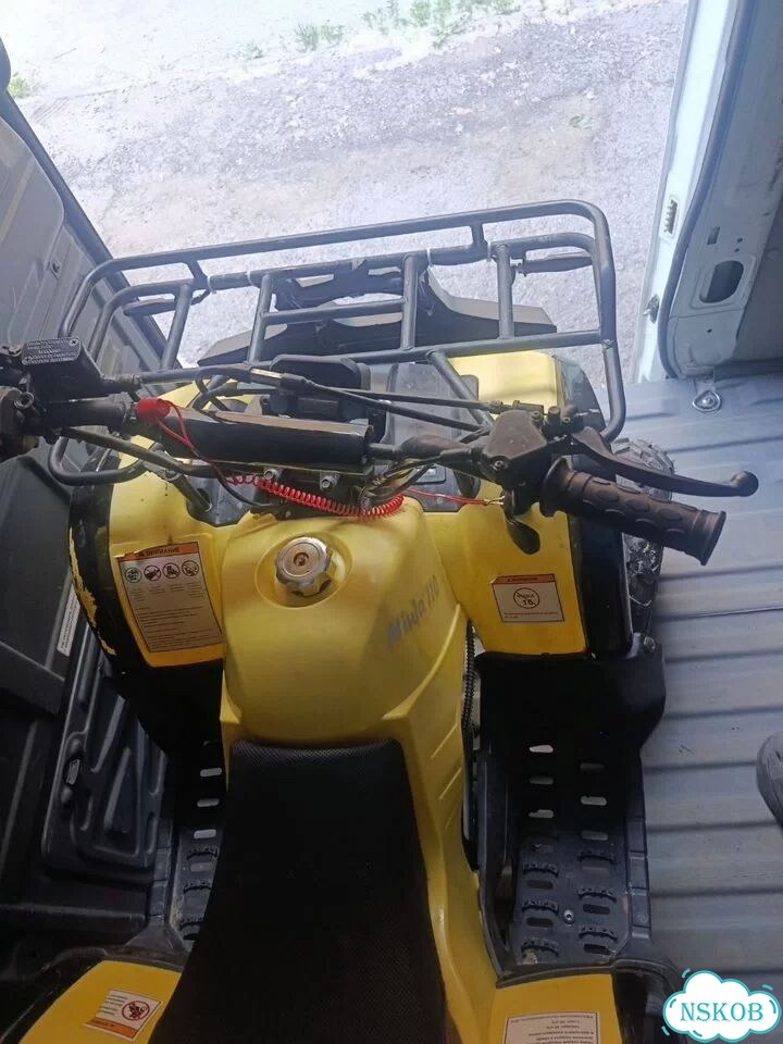 Nexus ATV 110, 2019, 100 км фото 2
