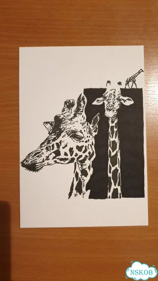 Рисунки графика фото 2