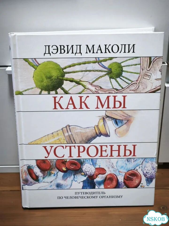 Как мы устроены Дэвид Маколи фото 1