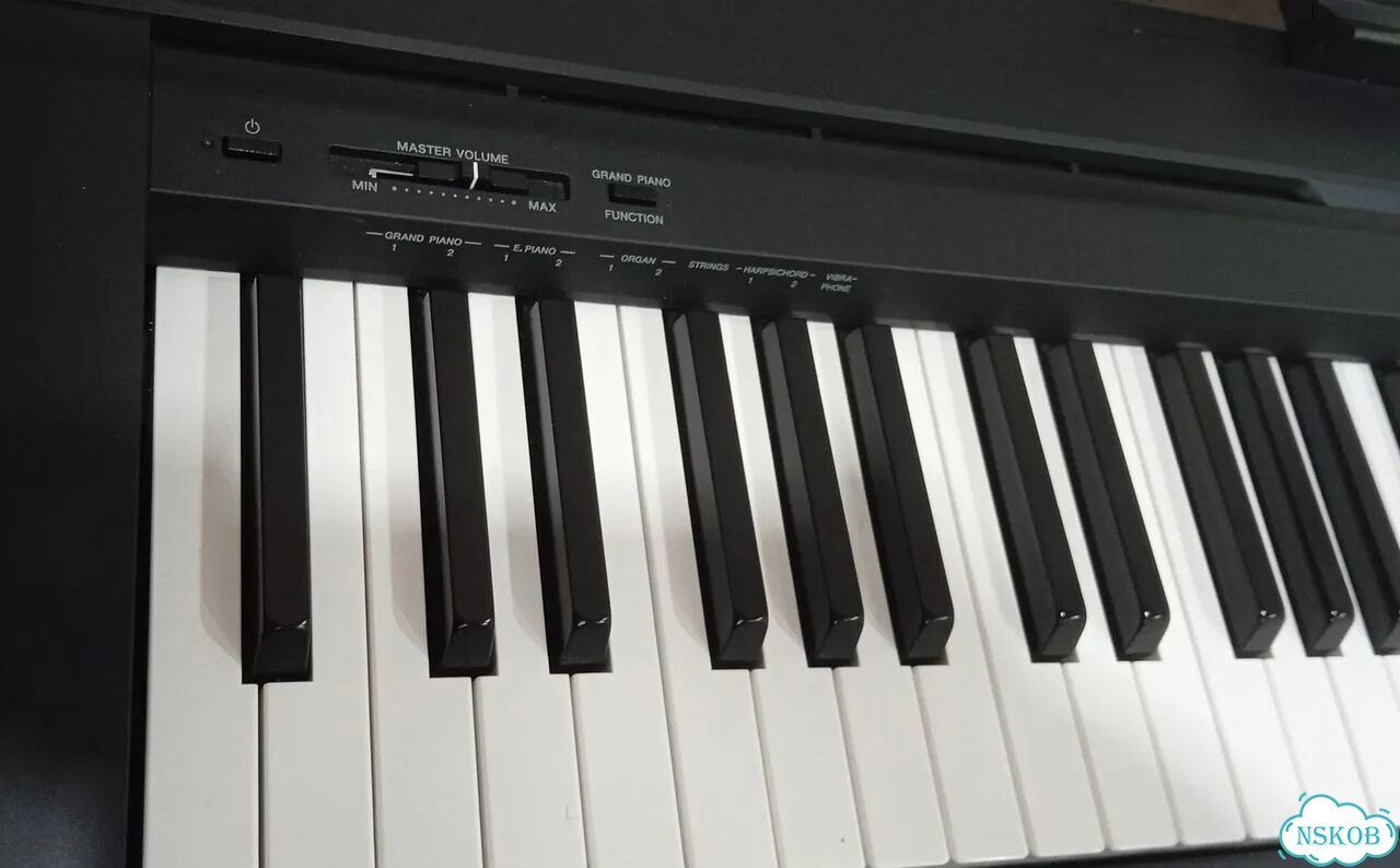 Цифровое пианино Yamaha P-45 фото 2