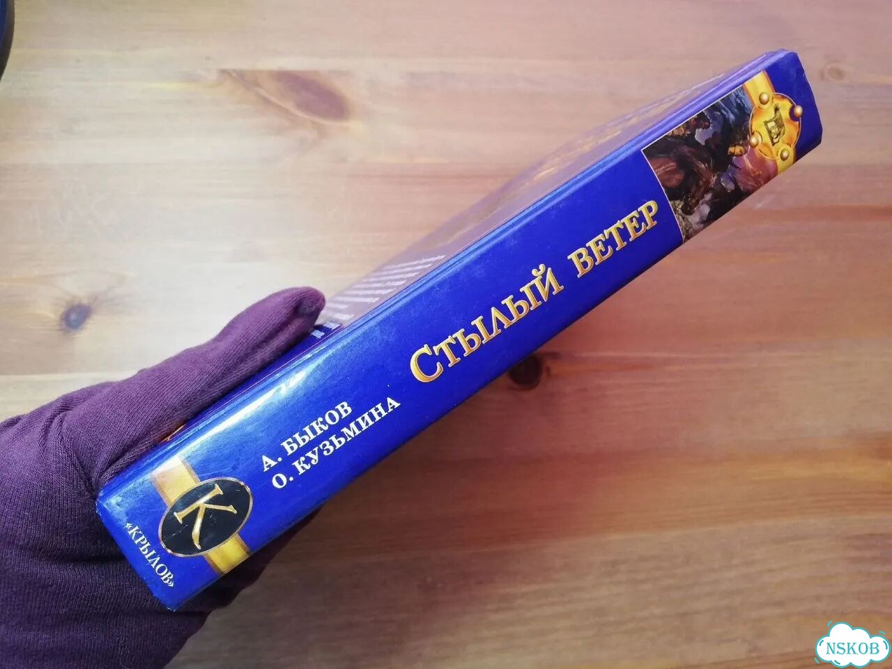 Быков Кузьмина Стылый ветер фото 6