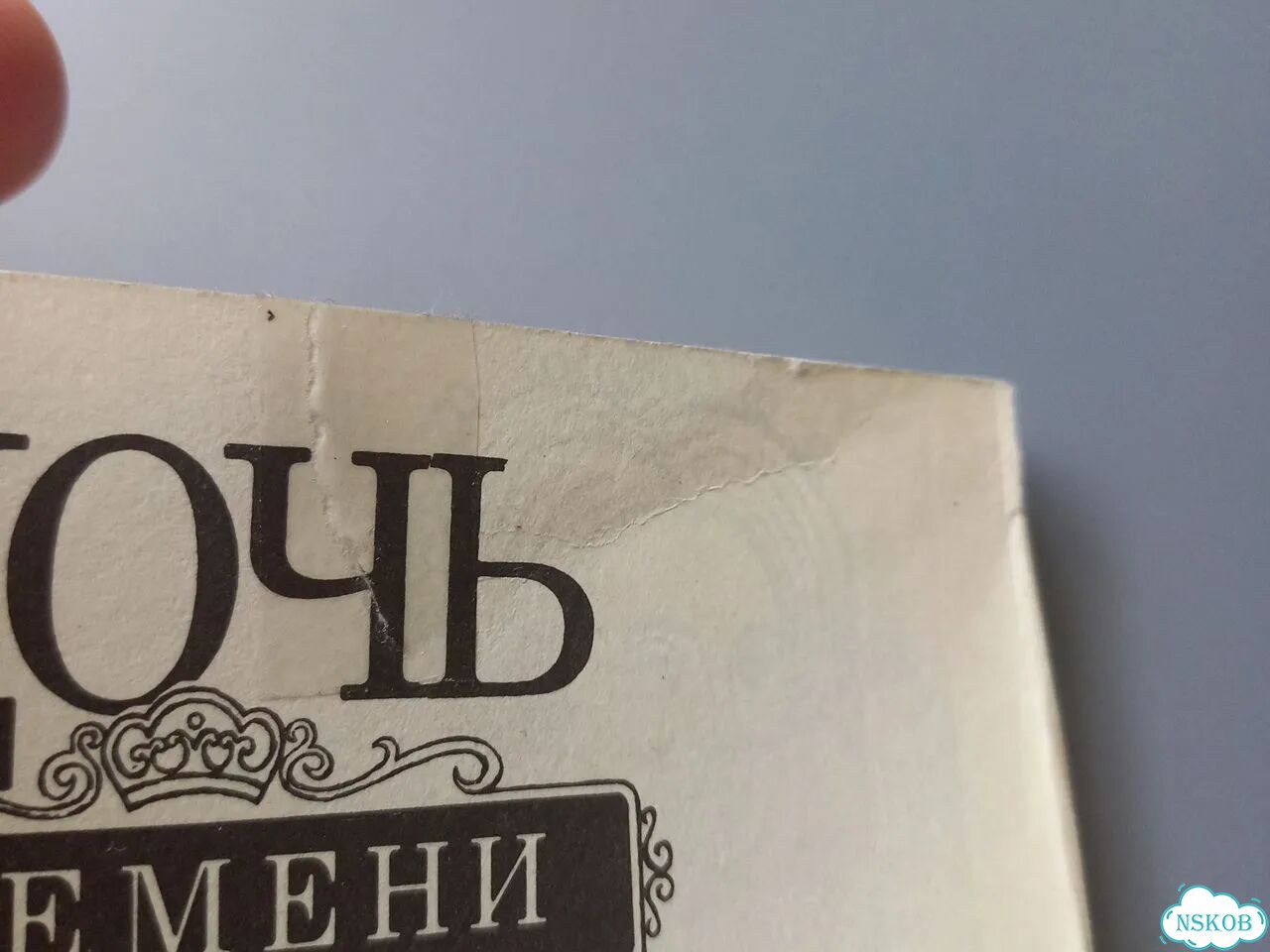Дочь времени фото 3