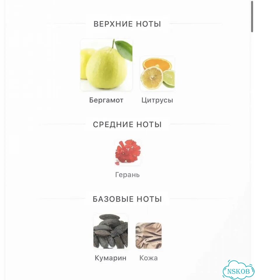 Hugo Boss The Collection Invincible Bergamot фото 2