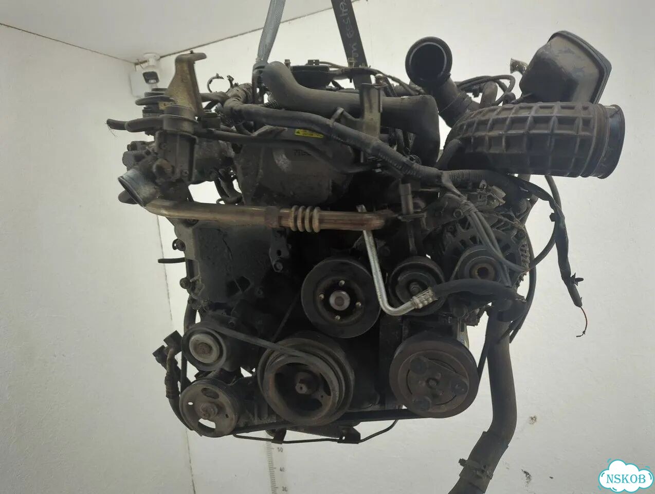 Двигатель Nissan Pathfinder YD25ddti фото 1